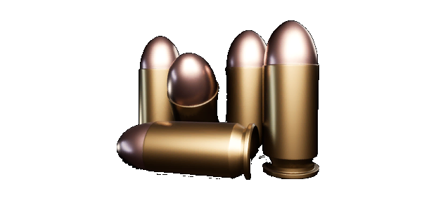 7.62x51mm Armor Piercing (AP) (T) — WARDOGS