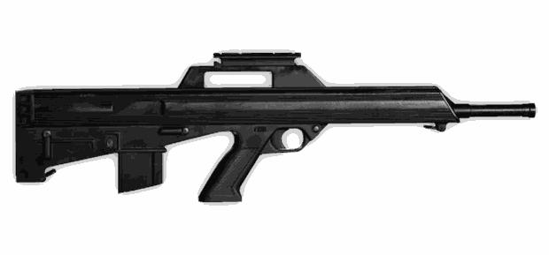 Bushmaster M17S — WARDOGS