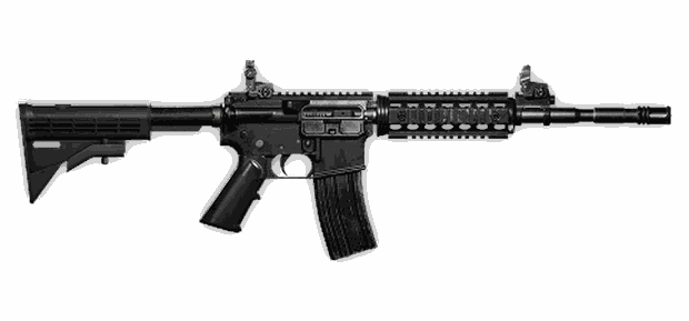 M4 — WARDOGS