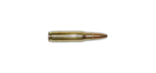 .308 Winchester