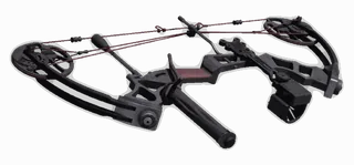 Compound Bow