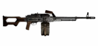 PKM