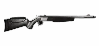 Scout Rifle TD
